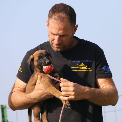 עוז מבחן גורים 527