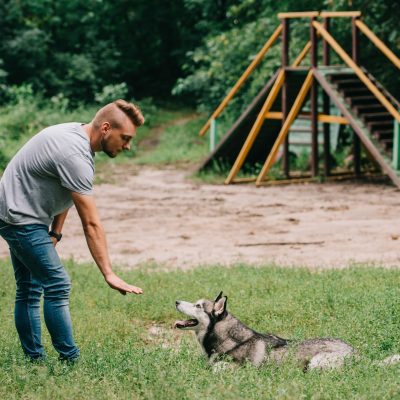 cynologist and husky dog training lying command with hand gesture